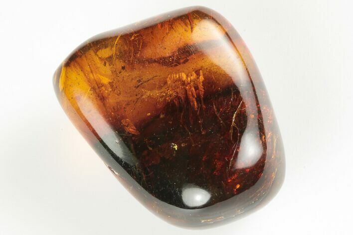 Polished Chiapas Amber ( g) - Mexico #193266